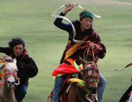Horse Racing Festival