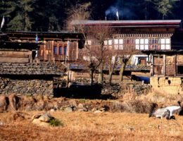 India Bhutan Nepal and Tibet Tour
