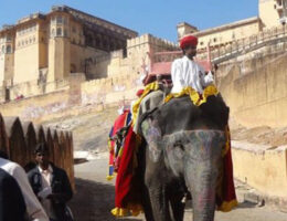 India Nepal Tours