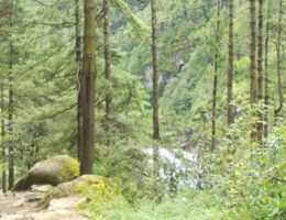 Mountain-Biking-Tour