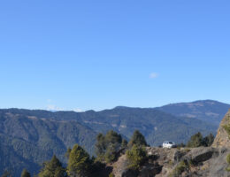 Nepal Bhutan Tours