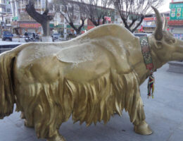 Tibet Kailash Saga Dawa Festival Tour