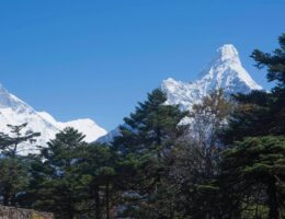 Nepal tour