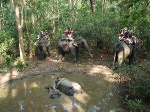 6 awesome things to experience in Chitwan National Park
