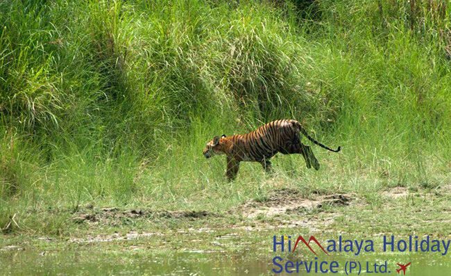 Five reasons why you should visit Bardia National Park