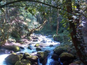 Shivapuri Nagarjun National Park Trek