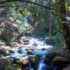Shivapuri Nagarjun National Park Trek