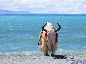 Nepal and Tibet in September 2015
